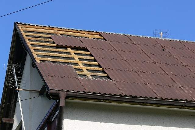 Po búrke, 24. august 2007