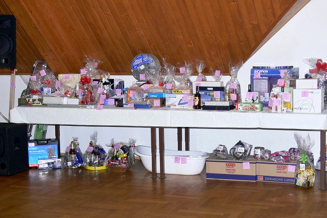 Trojkráľový ples, 3. 1. 2009