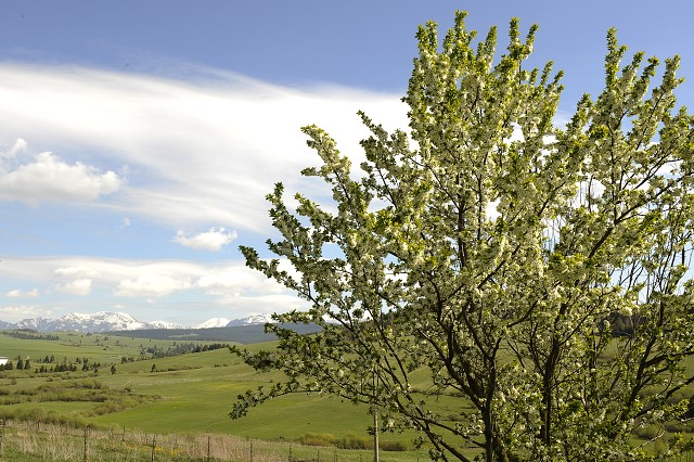 Deň matiek, 10. 5. 2009