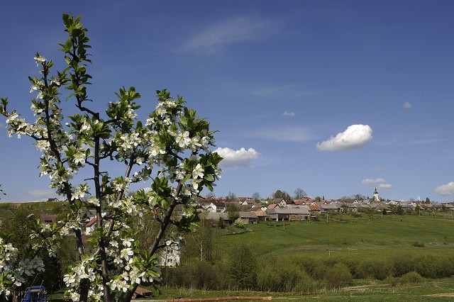 Deň matiek, 10. 5. 2009