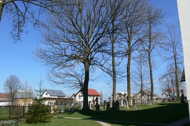 Zelená oáza, 26. 6. 2009