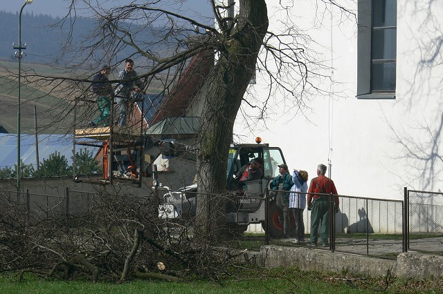 Zelená oáza, 26. 6. 2009