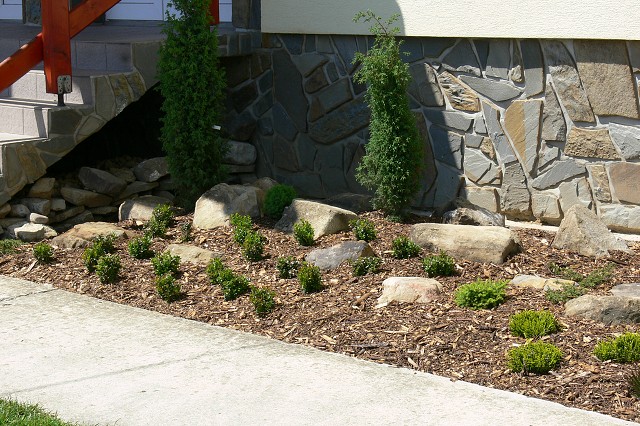 Zelená oáza, 26. 6. 2009