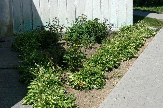 Zelená oáza, 26. 6. 2009