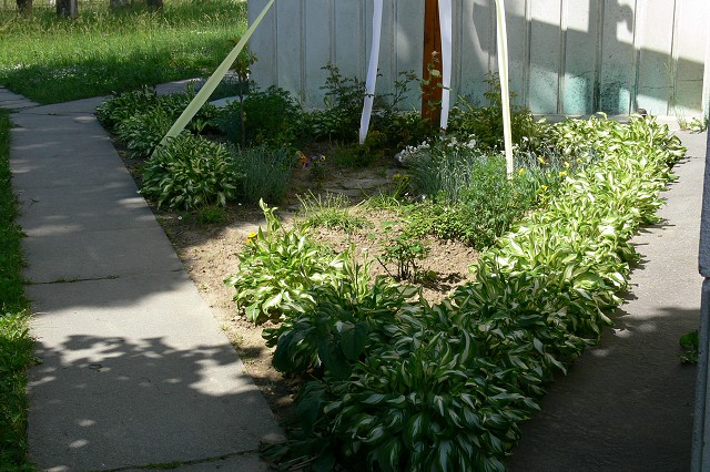 Zelená oáza, 26. 6. 2009