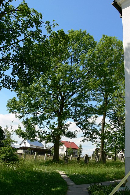 Zelená oáza, 26. 6. 2009