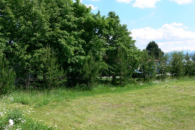 Zelená oáza, 26. 6. 2009