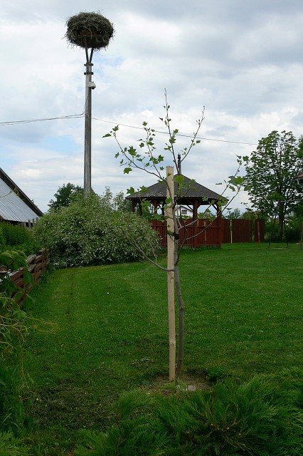 Zelená oáza, 26. 6. 2009