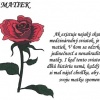 20140509_den_matiek